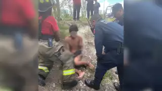Cocodrilo ataca a un hombre en el manglar de Malecón Tajamar de Cancún