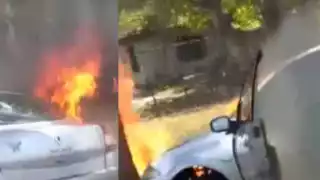 El automóvil se encontraba junto a un árbol mientras era consumido por las llamas en la carretera Leona Vicario-Cancún