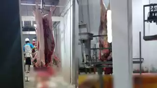 Compradores exponen que la carne del Rastro Municipal de Chetumal se pudre rápidamente y tiene malos olores