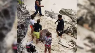 La tortuga fue rescatada por especialistas en colaboración con voluntarios, mientras que su compañera murió