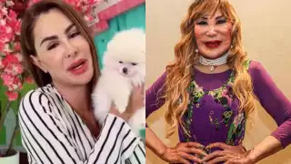 Ninel Conde apareció en un video en el que su rostro se ve diferente, por lo que los internautas aseguraban que era 'la hija de Lyn May'