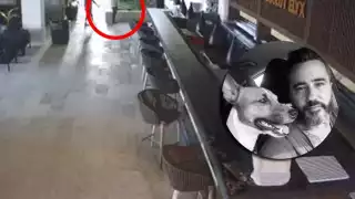 Federico Mazzoni recibió a dos personas que lo esperaban dentro de las instalaciones de Mamita's Beach Club en la Riviera Maya