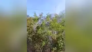 Piden investigar qué inició el fuego