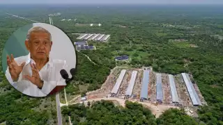 Pobladores cercanos a las granjas porcícolas de Kekén han denunciado contaminación de agua en Yucatán
