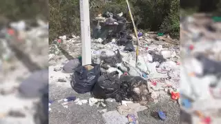vecinos del asentamiento Las Fincas indicaron que los camiones recolectores de basura no ha acudido a la zona en varios días
