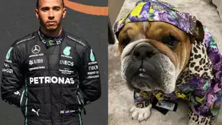 Lewis Hamilton enseña a su perro 'Roscoe' a patinar: VIDEO