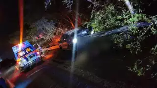 El fallecido perdió una pierna durante el accidente, por lo que paramédicos sólo llegaron a constatar la muerte del hombre en Kantenah, Playa del Carmen