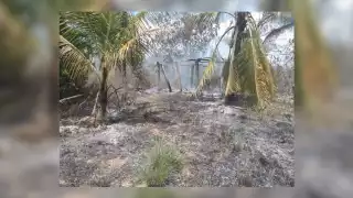 Las llamas fueron controladas bomberos de Kantunilkín, pues la zona 'Los Agucatales' es un área de pastizales en Quintana Roo