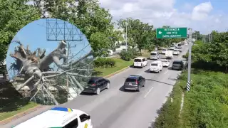 Un estudio contabilizó más de 20 mil árboles en la carretera federal