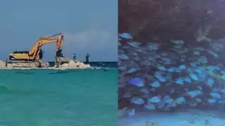 Asociaciones civiles exigen suspender obras de la marina de Xcaret en la Riviera Maya