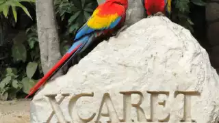 El Parque He'elel contemplaba ríos subterráneos artificiales entre cenotes, parecido a lo que realizaron en Xibalbá, construido en Valladolid, Yucatán