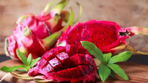 La pitahaya se consideran exóticas; se cultivan tanto como plantas ornamentales como para la recolección del fruto y generan flores hermosas La pitahaya se consideran exóticas; se cultivan tanto como plantas ornamentales como para la recolección del fruto y generan flores hermosas