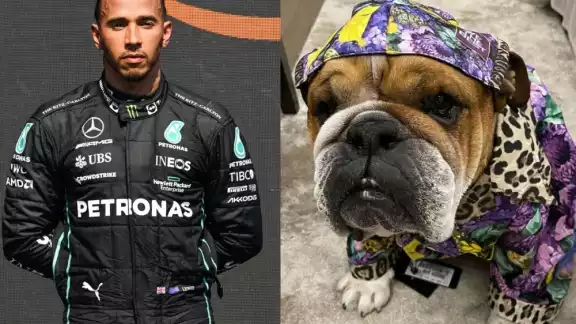 Lewis Hamilton comparte momentos con su mascota 'Roscoe' en sus ratos libres en la Fórmula 1