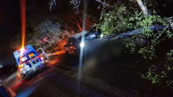 El fallecido perdió una pierna durante el accidente, por lo que paramédicos sólo llegaron a constatar la muerte del hombre en Kantenah, Playa del Carmen El fallecido perdió una pierna durante el accidente, por lo que paramédicos sólo llegaron a constatar la muerte del hombre en Kantenah, Playa del Carmen