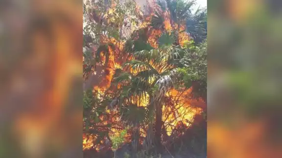 Uno de los incendios forestales en Playa del Carmen en el que se dificulta el control, se ubica en el poblado de Santa Cecilia
