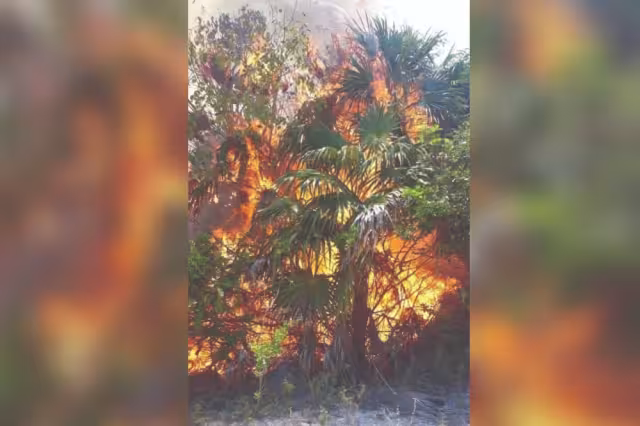 Uno de los incendios forestales en Playa del Carmen en el que se dificulta el control, se ubica en el poblado de Santa Cecilia