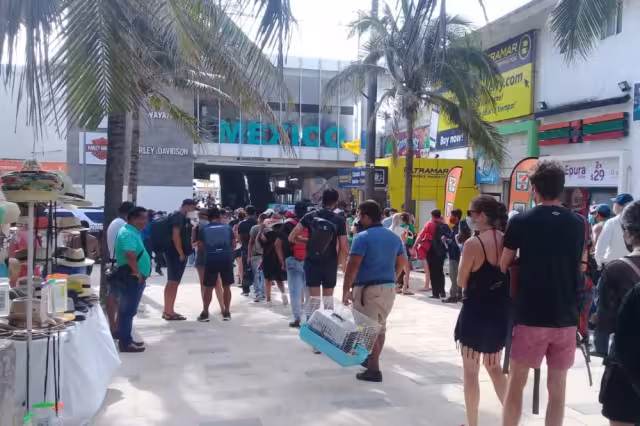 Así lució la terminal marítima de playa del carmen