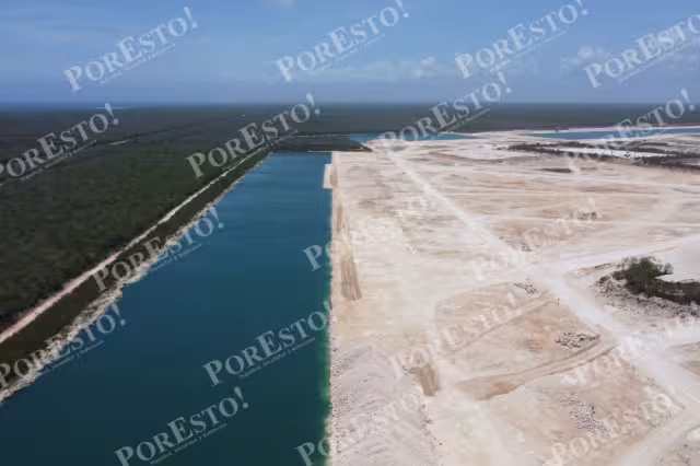 Calica ha ocasionado un catástrofe ambiental en Playa del Carmen con la explotación de bancos de materiales