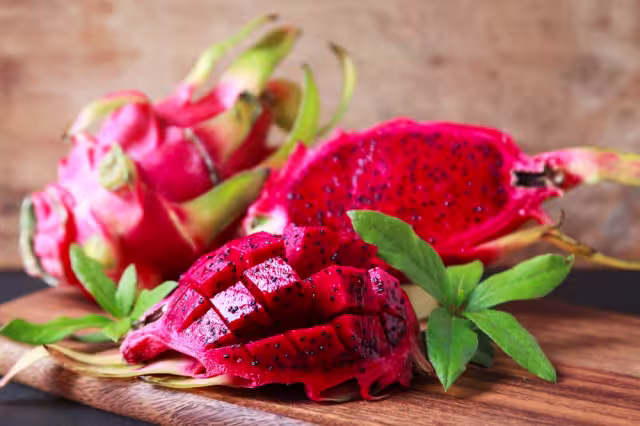 La pitahaya se consideran exóticas; se cultivan tanto como plantas ornamentales como para la recolección del fruto y generan flores hermosas