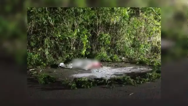 Testigos refieren que el fallecido viajaba en una moto con otra persona, que tras derrapar, lo dejó abandonado en la carretera en Carrillo Puerto