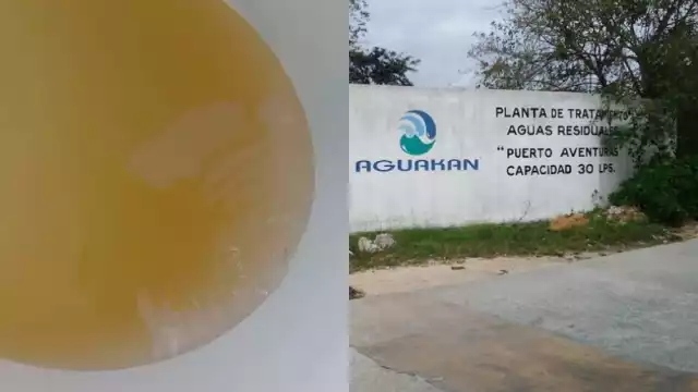 El agua que llegó a las casas en Puerto Aventuras era de color amarillento, denunciaron pobladores