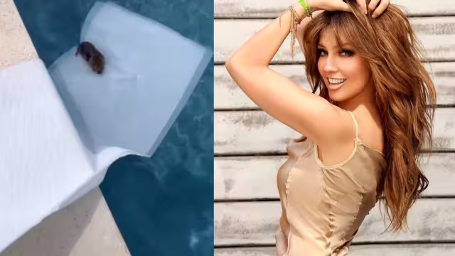 Thalía celebró que el ratoncito saliera sano y salvo de la alberca, luego de que lo ayudara a no ahogarse