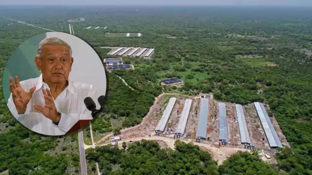 Pobladores cercanos a las granjas porcícolas de Kekén han denunciado contaminación de agua en Yucatán