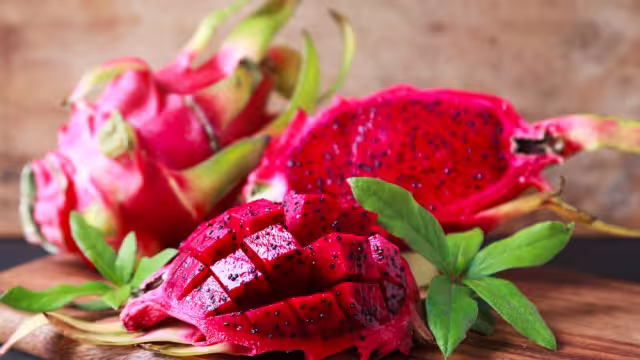 La pitahaya se consideran exóticas; se cultivan tanto como plantas ornamentales como para la recolección del fruto y generan flores hermosas