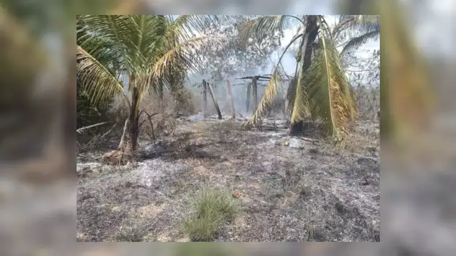 Las llamas fueron controladas bomberos de Kantunilkín, pues la zona 'Los Agucatales' es un área de pastizales en Quintana Roo