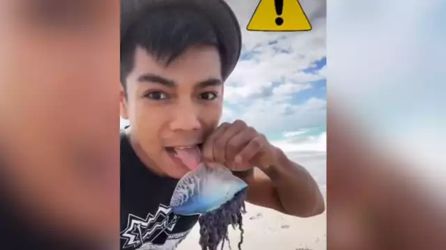 La inconsciencia pudo haberlo llevado a morir