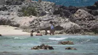 La Cofepris aseguró que hacen muestreos constantes en las playas