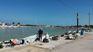 Adelantan fin de la temporada de mero tras ingreso del Frente Frío No. 24 a Yucatán