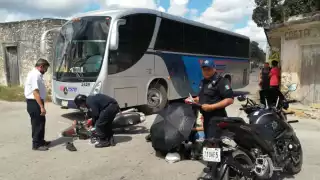Solamente se le aplicó una multa al chofer del autobús