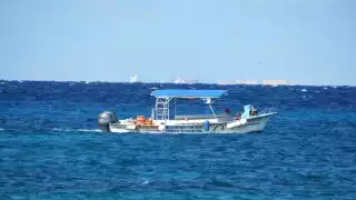 Tiendas de buceo y prestadores de servicios acuáticos se quedaron con la cancelación de varios paquetes