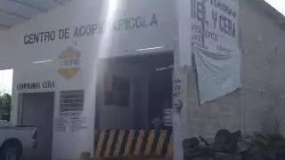 Productores abandonan la actividad pues dicen que ya no es redituable