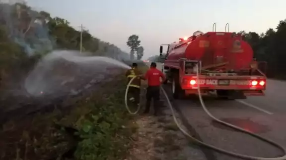 los bomberos acudieron a apagar las llamas los bomberos acudieron a apagar las llamas