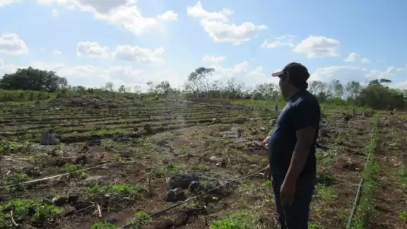 Cambios repentinos del clima, es otra de las afectaciones para los hombres de campo en Yucatán Cambios repentinos del clima, es otra de las afectaciones para los hombres de campo en Yucatán