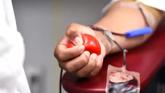 La donación de sangre en México mantiene ciertos requisitos. Foto: Especial La donación de sangre en México mantiene ciertos requisitos. Foto: Especial