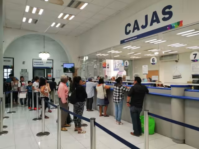 Algunos servicios estarán disponibles este martes
