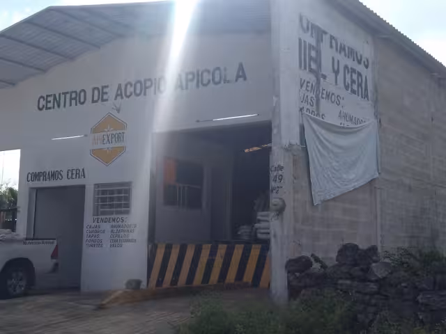 Productores abandonan la actividad pues dicen que ya no es redituable