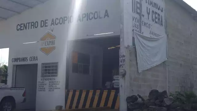 Productores abandonan la actividad pues dicen que ya no es redituable