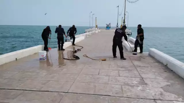 Personas que van a practicar la pesca dejan sus carnadas en el sitio