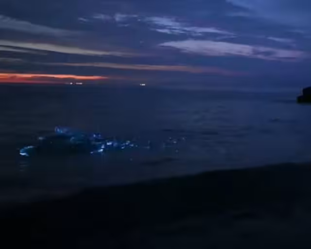 El placton bioluminiscente contiene luciferina, sustancia química que brilla cuando entra en contacto con el oxígeno.