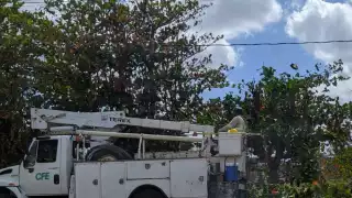 Vicente Díaz realizó el trabajo que despertó la contrariedad de las personas