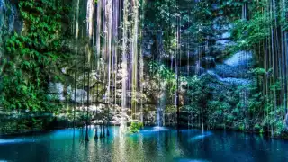 Los cenotes son lugares muy deseados para bucear; pues estos solo se pueden encontrar en Yucatán.
