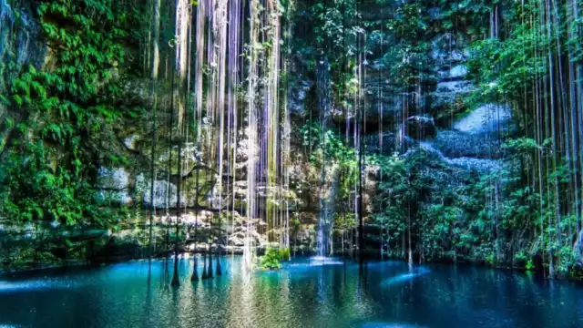 Los cenotes son lugares muy deseados para bucear; pues estos solo se pueden encontrar en Yucatán.