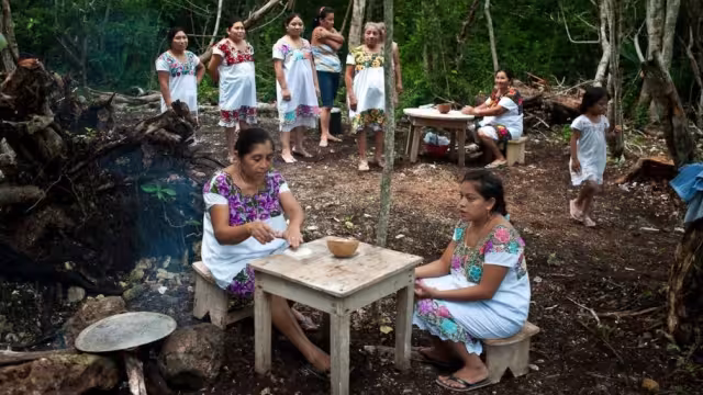 En Yokdzonot, una cooperativa fundada en 2005 demostró que comunidades originarias pueden ser protagonistas