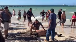 Alcohol y mar, mezcla mortal en Progreso: autoridades emiten alerta tras un ahogado y un rescate