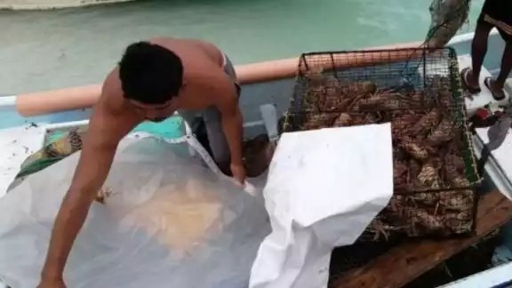Los hombres de mar enfrentan el déficit de 300 trampas, 50 redes y 20 motores fuera de borda, entre las cinco cooperativas Los hombres de mar enfrentan el déficit de 300 trampas, 50 redes y 20 motores fuera de borda, entre las cinco cooperativas