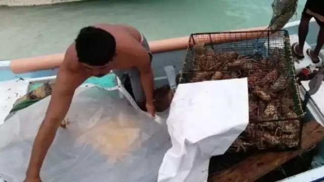 Los hombres de mar enfrentan el déficit de 300 trampas, 50 redes y 20 motores fuera de borda, entre las cinco cooperativas
